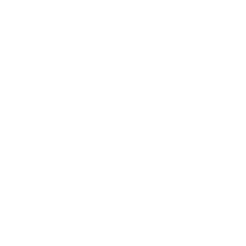 PRMT Logo