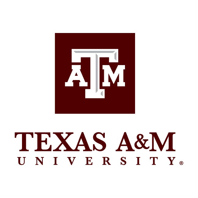 TAMU Technology Services - AIP Logo