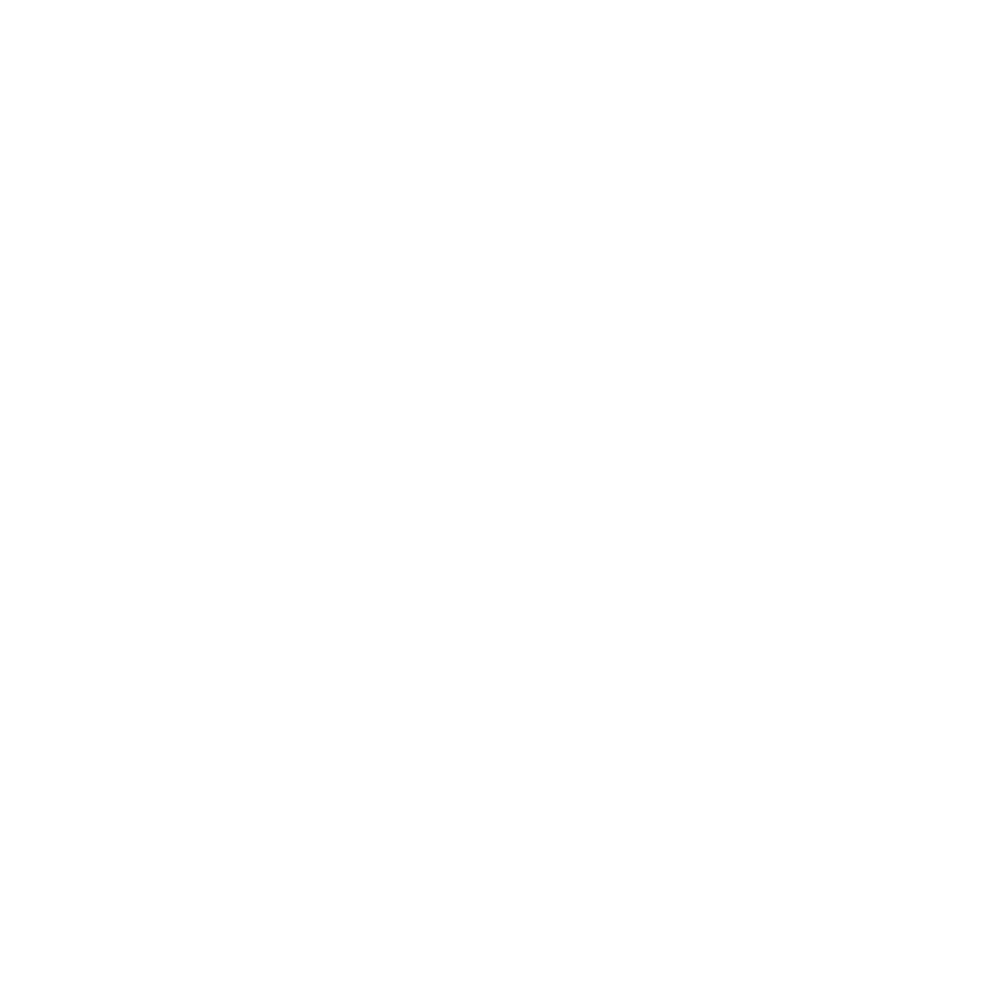CHES Logo
