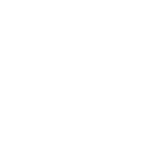 Lightricks Logo