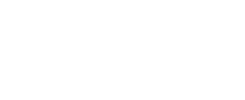 American Lung Association Logo